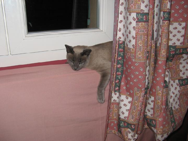 2008-05 Saphir 001.JPG